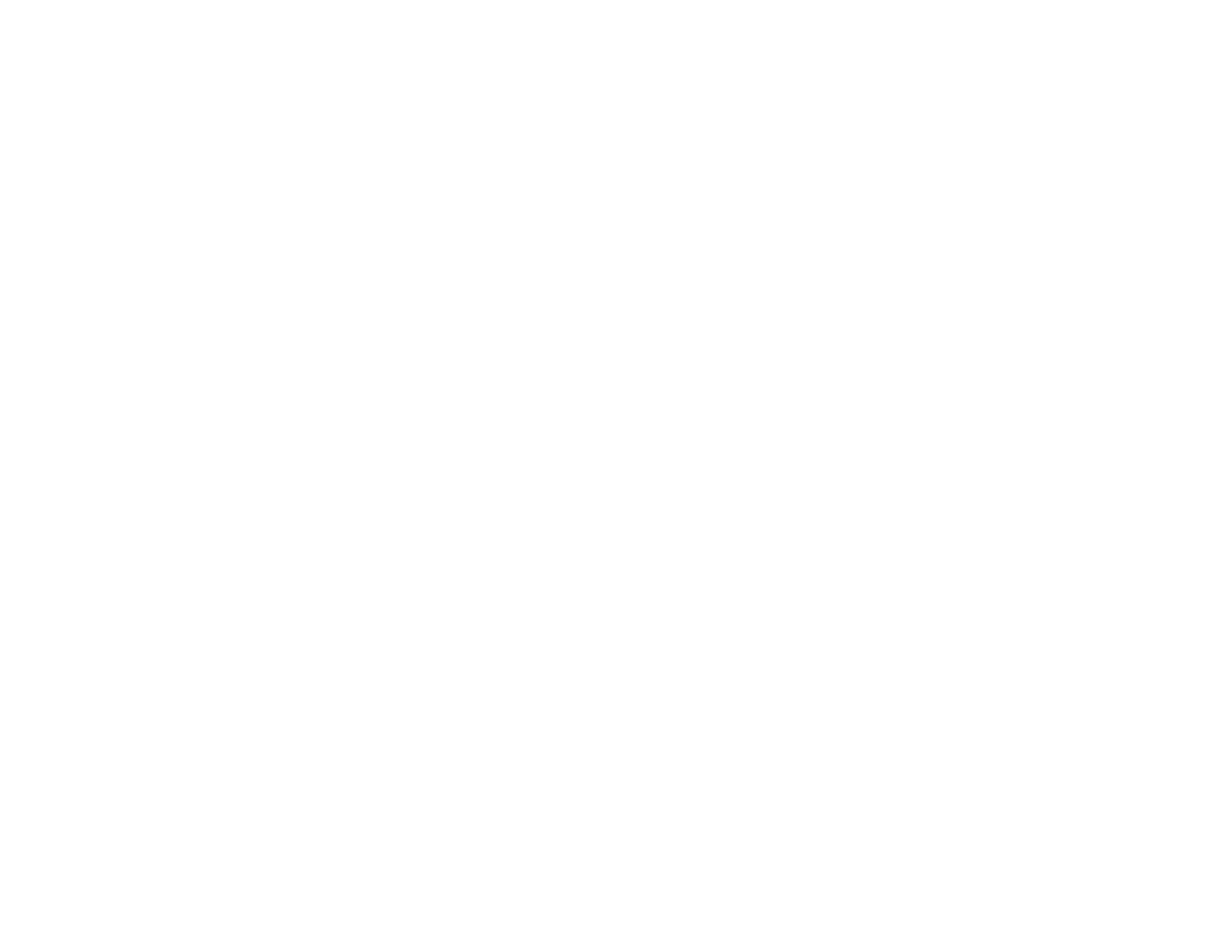 Adam America